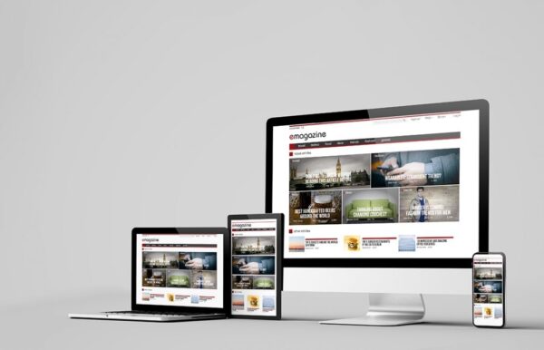 Website Design &  Development - Image 2