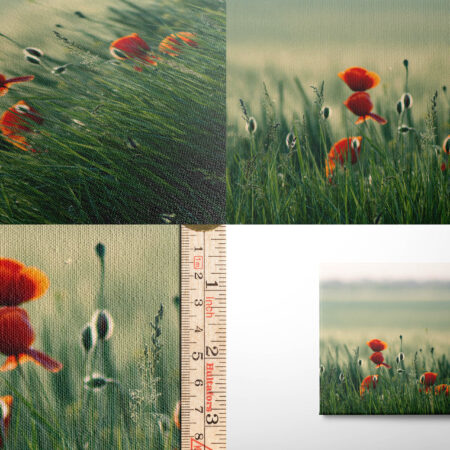 Canvas Printing and Design Services